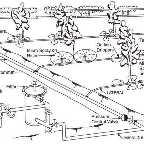 Typical Sketch Of A Micro Irrigation System With Different Components