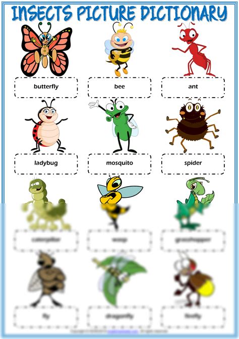 Solution Insects Vocabulary Esl Picture Dictionary Worksheet For Kids