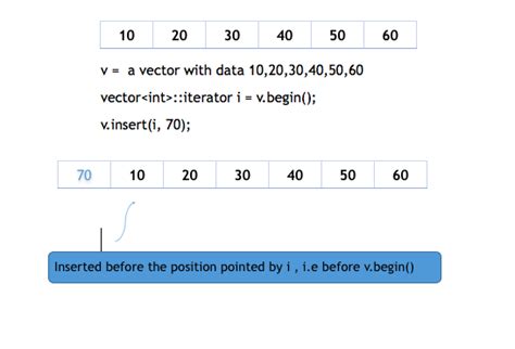 Introduction to Vector Container in STL | C++ Tutorial | Studytonight