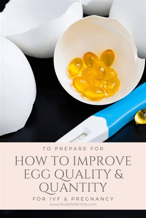 How To Improve Egg Quality For Ivf And Pregnancy Foods For Fertility