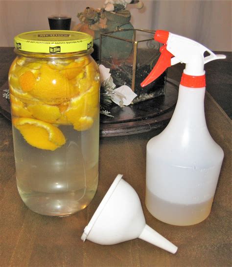 Little Lakeview Conservatory Llc Orange Peel Cleaning Solution