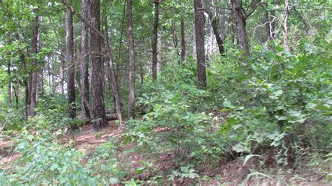 Wolfpen atv campground cabins cottages rv tent sites wolf pen you can download this perfect wolf pen gap cabins photos for your collection. Wolfpen ATV Campground | Cabins, Cottages, RV & Tent Sites ...