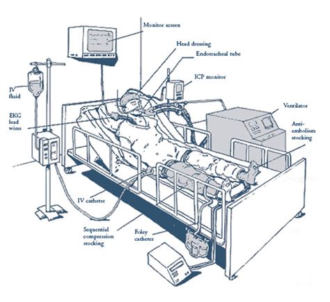 Brain Injury Intensive Care Icu Monitors Machines Ventilator