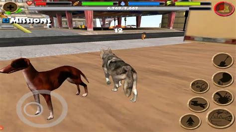 🐕🦴stray Dog Husky Simulator By Gluten Free Games Part 2 Youtube