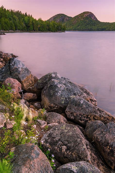 Maine Jordan Pond Bubble Mountain Sunset In Acadia National Park