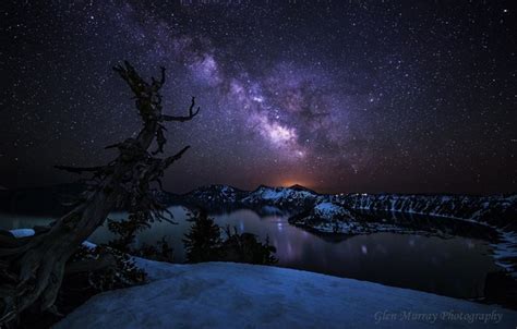 Wallpaper Stars Night Tree Oregon Usa The Milky Way State