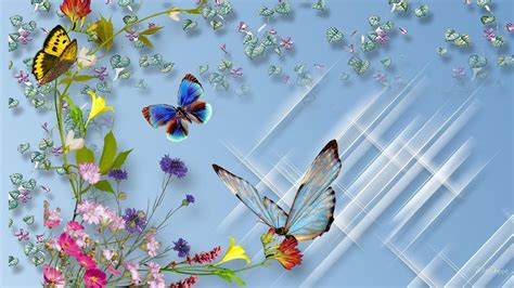 Butterfly On Flower Wallpapers Wallpaper Cave