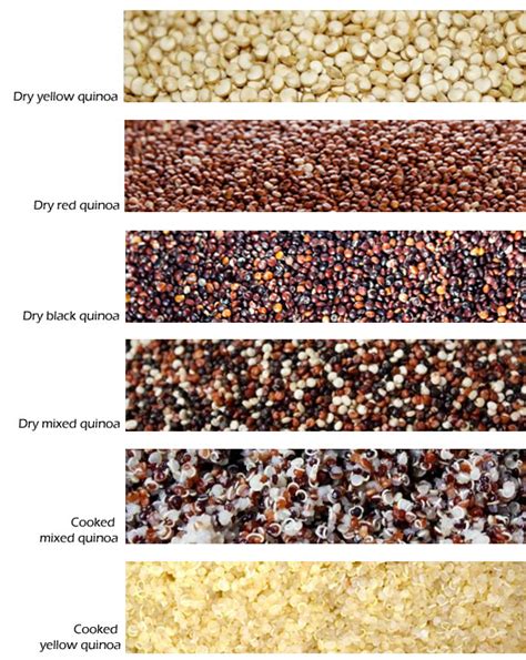 Types Of Quinoa Quinoa Superfoodquinoa Superfood