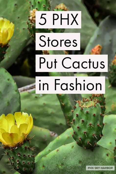 It always makes owners kind of sad if their reaction is to human dander, cain says, but happily the two of you. Cactus is in fashion. Find out where you can purchase ...