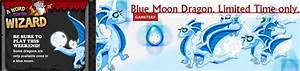 Dragonvale Blue Moon Dragon Banner Gameteep