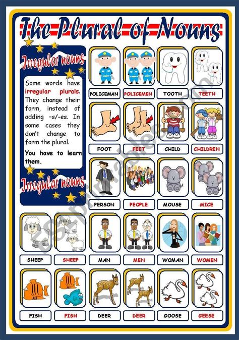THE PLURAL OF NOUNS POSTER | Plurals, Irregular plurals, Nouns