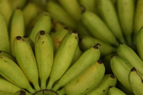 Banana Fruit Description | eHow