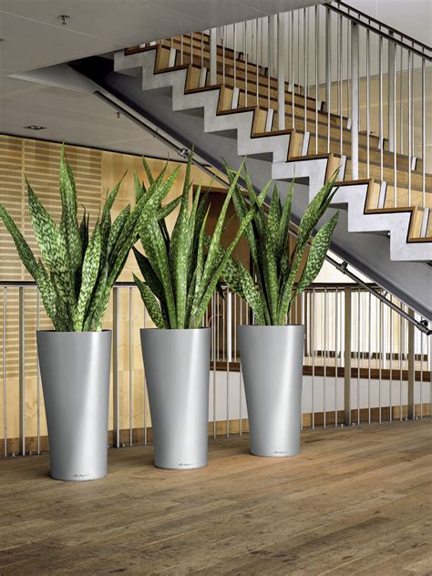 Office Plant Interior Groupings By Plantscape Designs Inc Waltham Ma