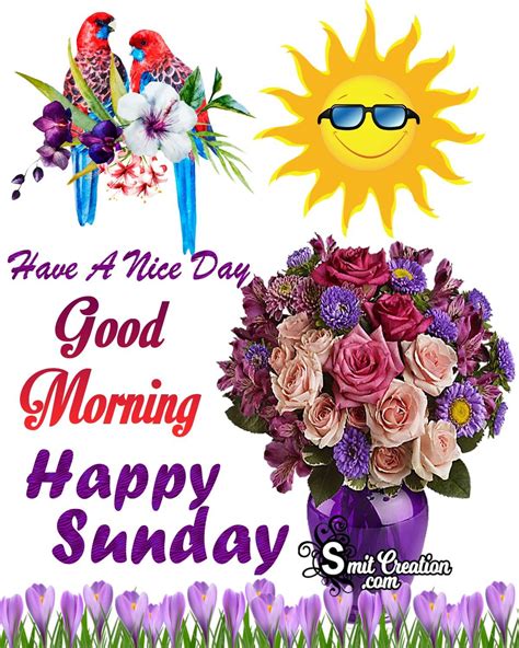 Good Morning Happy Sunday Images To Spread Joy Morning Greetings