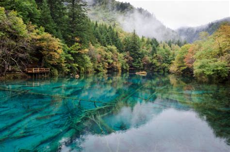 Cinco De Color Lago Jiuzhaigou Sichuan China Foto De Stock Y Más Banco
