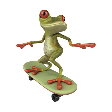 Frog On Skate Board Tree Frog Art Green Tree Frog Funny Frogs Cute