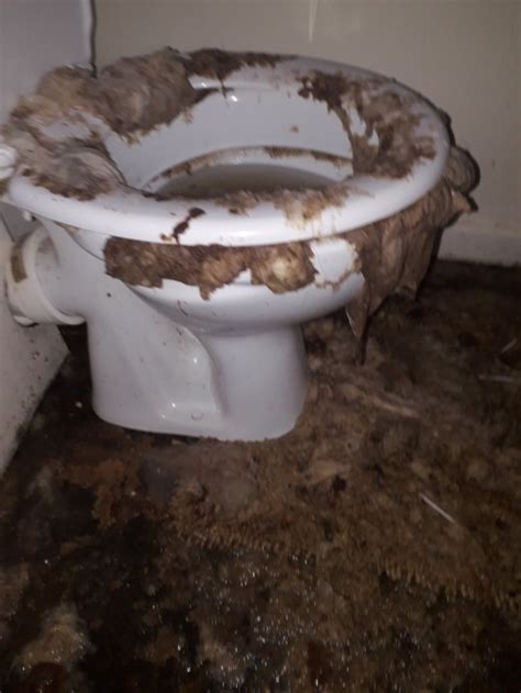 Mums Flat Covered In Poo And Used Toilet Paper Due To Blockage Metro