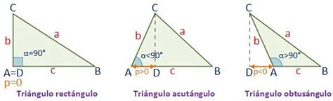Tipos De Triángulos Diferencias Según Sus ángulos Y Lados Diferenciando