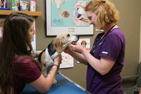 Indian Tree Animal Hospital in Arvada, CO (Veterinary Services) - 303