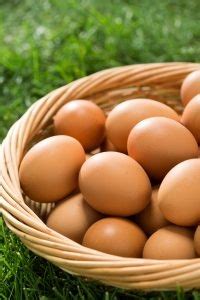 생산단계 계란 검사 결과 부적합 계란 회수ㆍ폐기 데일리 푸드앤메드