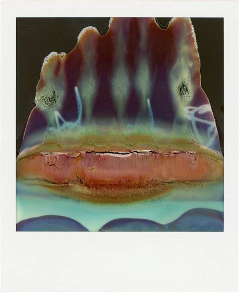 Ruined Polaroids Photographs And Text By William Miller Lensculture