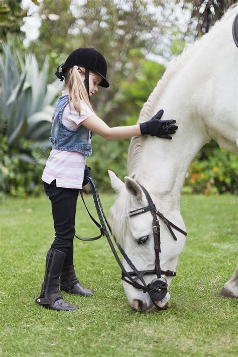 Girl Petting Grazing Horse In Park Stock Image F0049457 Science