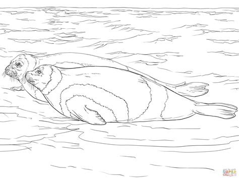 Below are a few examples of ice cream coloring sheets in our site. Elephant Seal coloring, Download Elephant Seal coloring ...