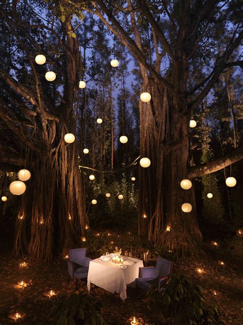 Romantischer Garten Gartenbeleuchtung Abends Ti Outdoor Party