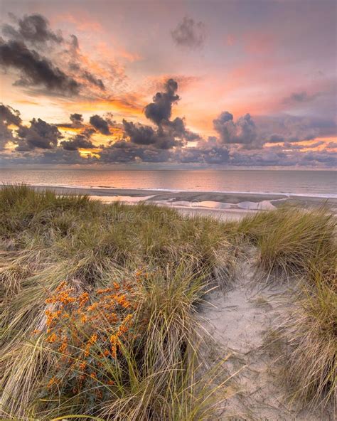View From Dune Over North Sea Sunset Stock Photo Image Of Dunes