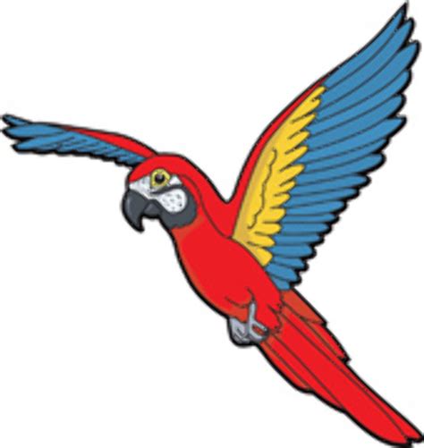 Download High Quality Parrot Clipart Flying Transparent Png Images