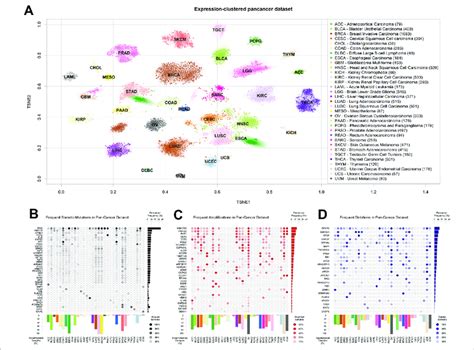 The Cancer Genome Atlas TCGA Dataset Used A T Distributed