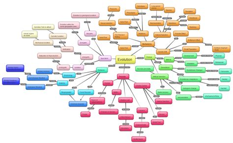 Map Of Darwin S Evolution Theory