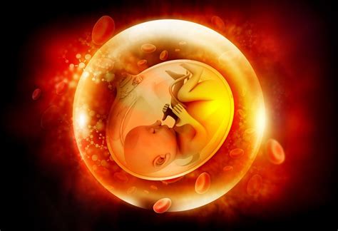 You will be given prenatal vitamins for your baby's proper growth and development. Food To Help Baby Gain Weight In Pregnancy - babypregnancy