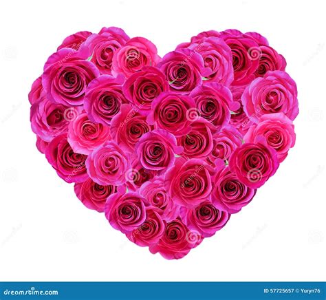 Heart Of Roses Stock Image Image Of Fresh Texture Bouquet 57725657