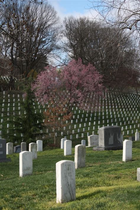 Visiting Arlington National Cemetery Yellow Van Travels