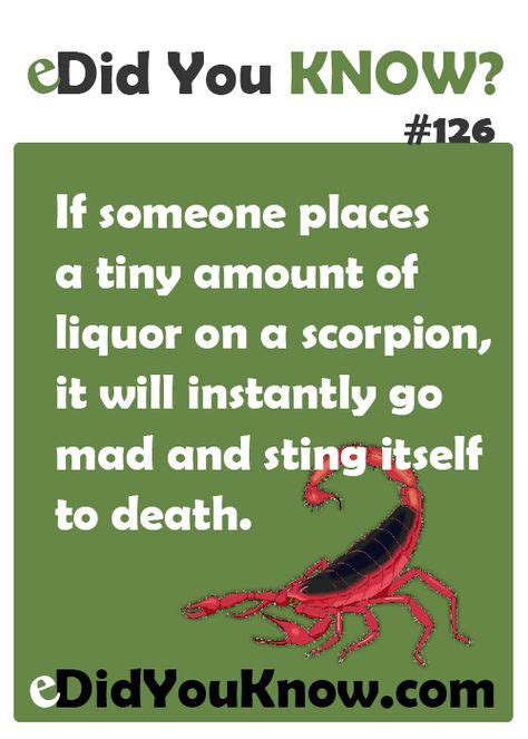 75 Did You Know Ideas Did You Know Fun Facts Wtf Fun Facts