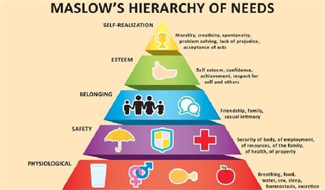 O Que é Pirâmide De Maslow Para Que Serve E Como Aplicar