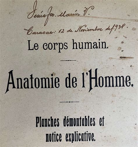 Anatomie De Lhomme Planches Démontables Et Notice Explicative