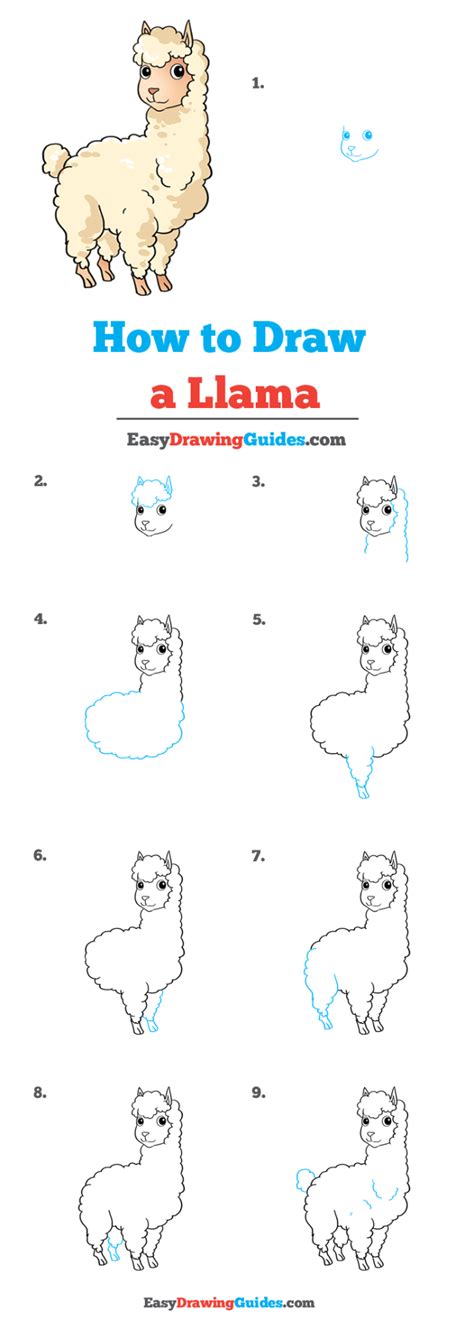 Head there to keep painting! How to Draw a Llama | Drawing tutorials for kids, Easy ...