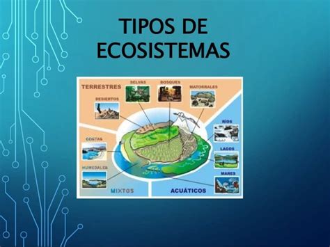 Tipos De Ecosistemas Exposicion