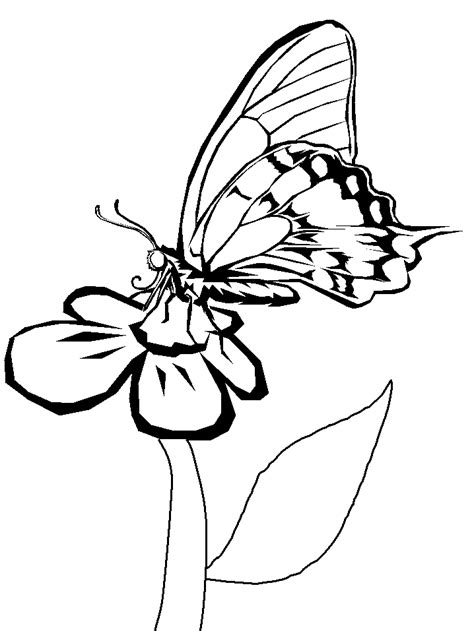 Free butterfly coloring pages printable. Butterflies Coloring Pages | Coloring Pages To Print