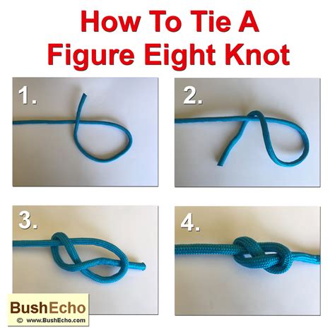 How To Tie A Figure Of Eight Knot Bushecho