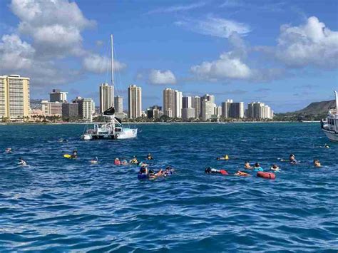 Top 5 Snorkeling Spots In Oahu Hawaii Honolulu Tours