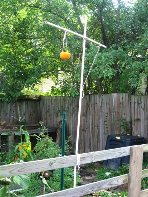 How to easily make your own diy bird feeder pole from an inexpensive piece of emt pipe. PVC Pipe DIY Bird Feeder Pole | My green thumb | Pinterest ...