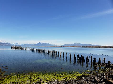 Things To Do In Puerto Natales Chile Passporter Blog