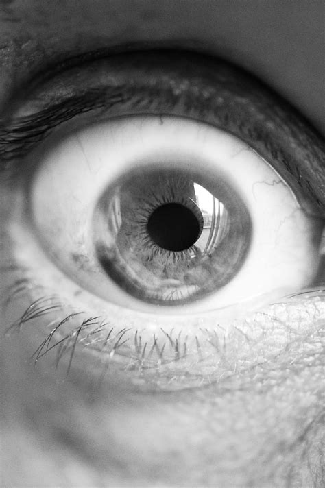 Human Man Person Anatomy Face Eye Eyelashes Iris Pupil Dilate