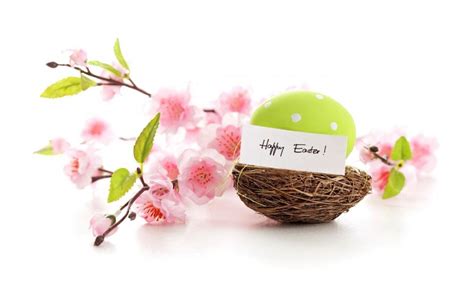 Happy Easter Spring Flowers Eggs Hd Desktop Wallpaper Widescreen