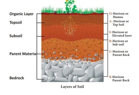 Soil Formation Profile And Characteristics