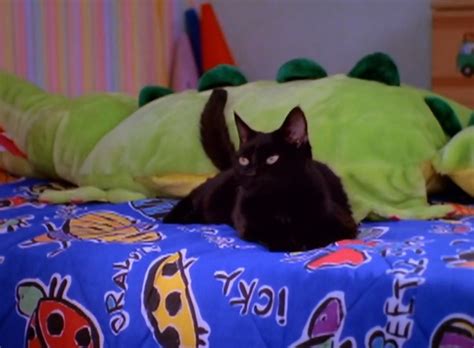 Sabrina The Teenage Witch A Girl And Her Cat Cinema Cats