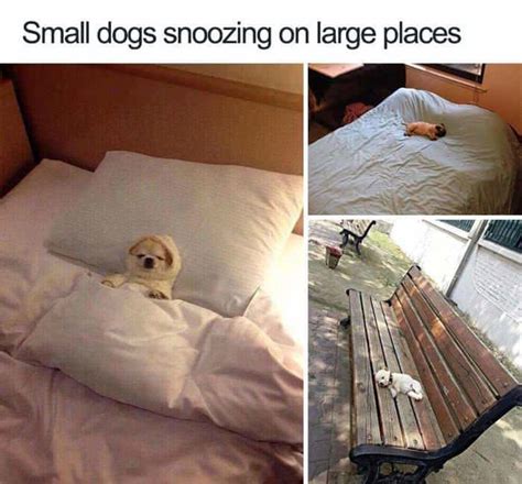 Cute Meme By Thepartypooper Memedroid